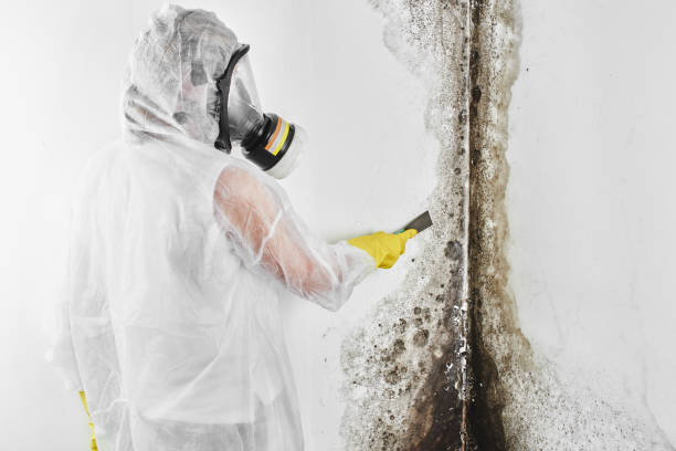 Forensic Mold Investigation in Kingstowne, VA